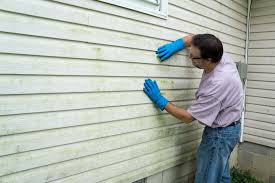 Best Insulated Siding Installation  in Minneapolis, MN